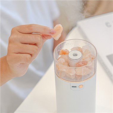 Portable Air Humidifier With Purify