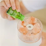 Rechargeable Salt Stone Humidifier